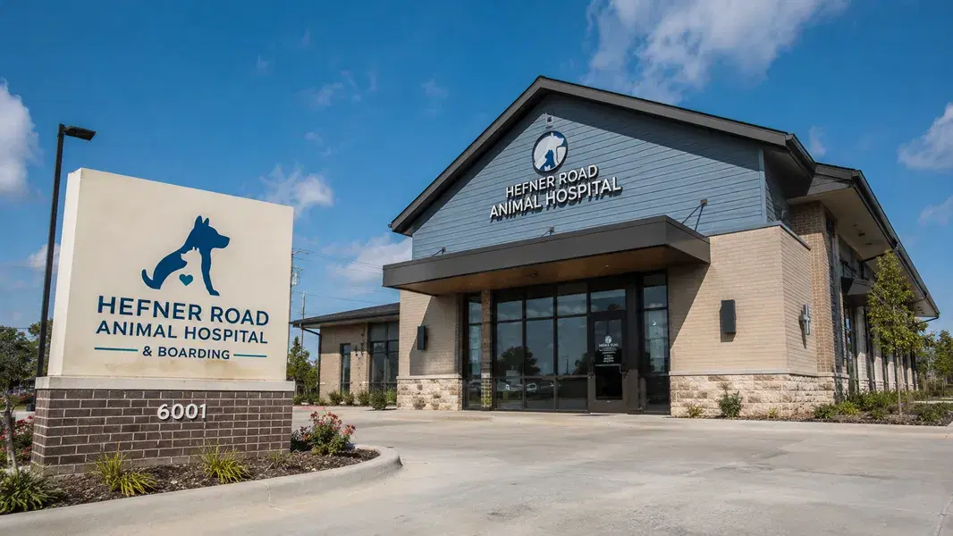 Hospital Veterinario de Hefner Road