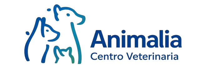 Animalia